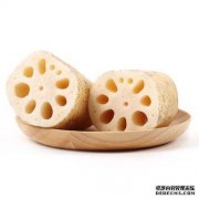 告诉您将苍蝇与脆蝇区分